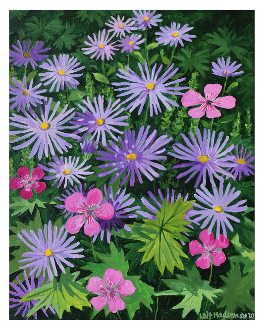 Asters