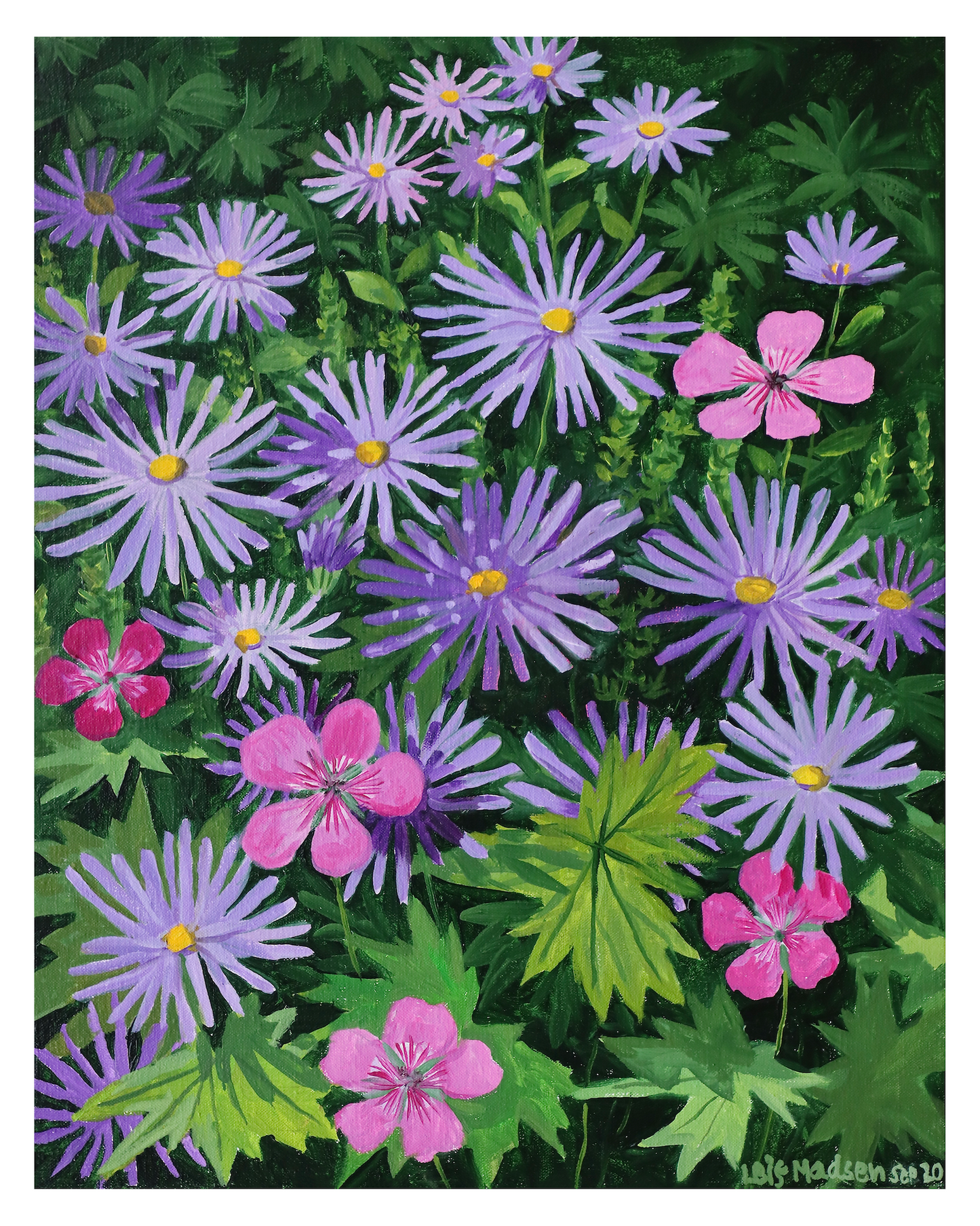 Aster