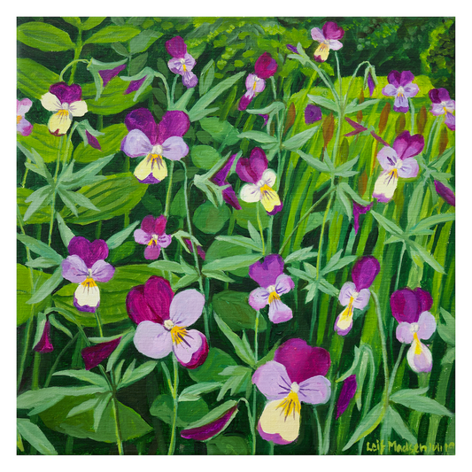 Vilde stedmoderblomster
