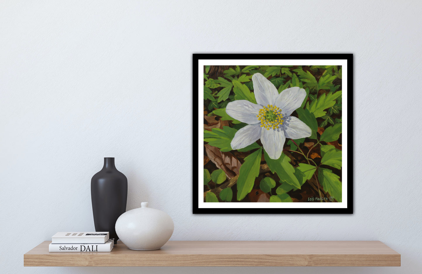 Anemone