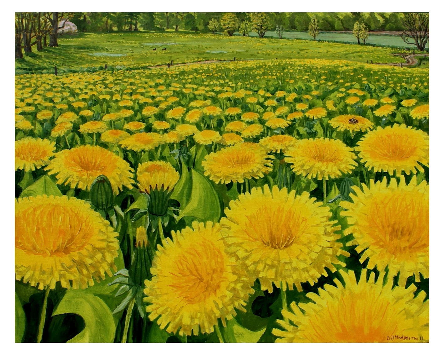 Dandelions