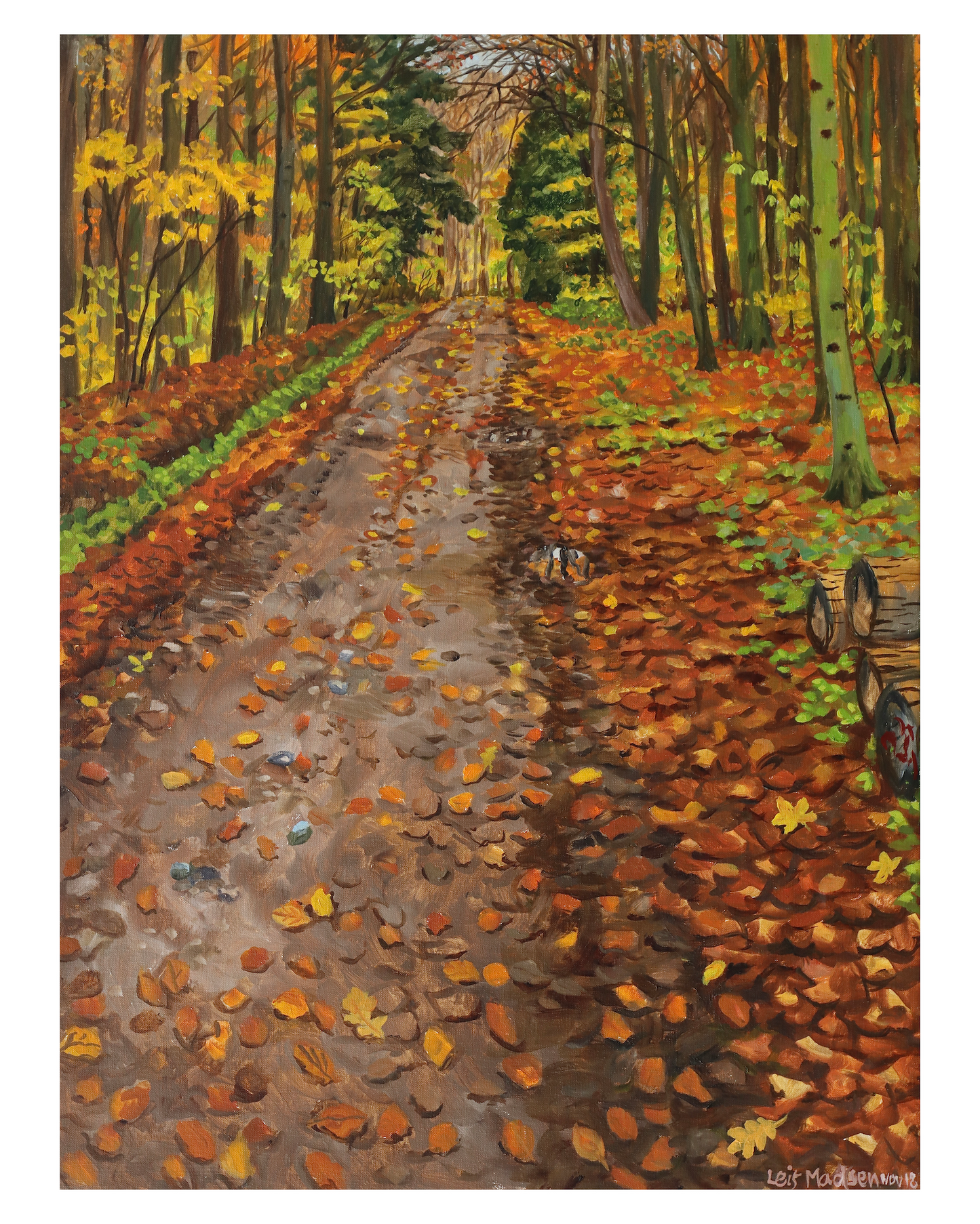 The forest road