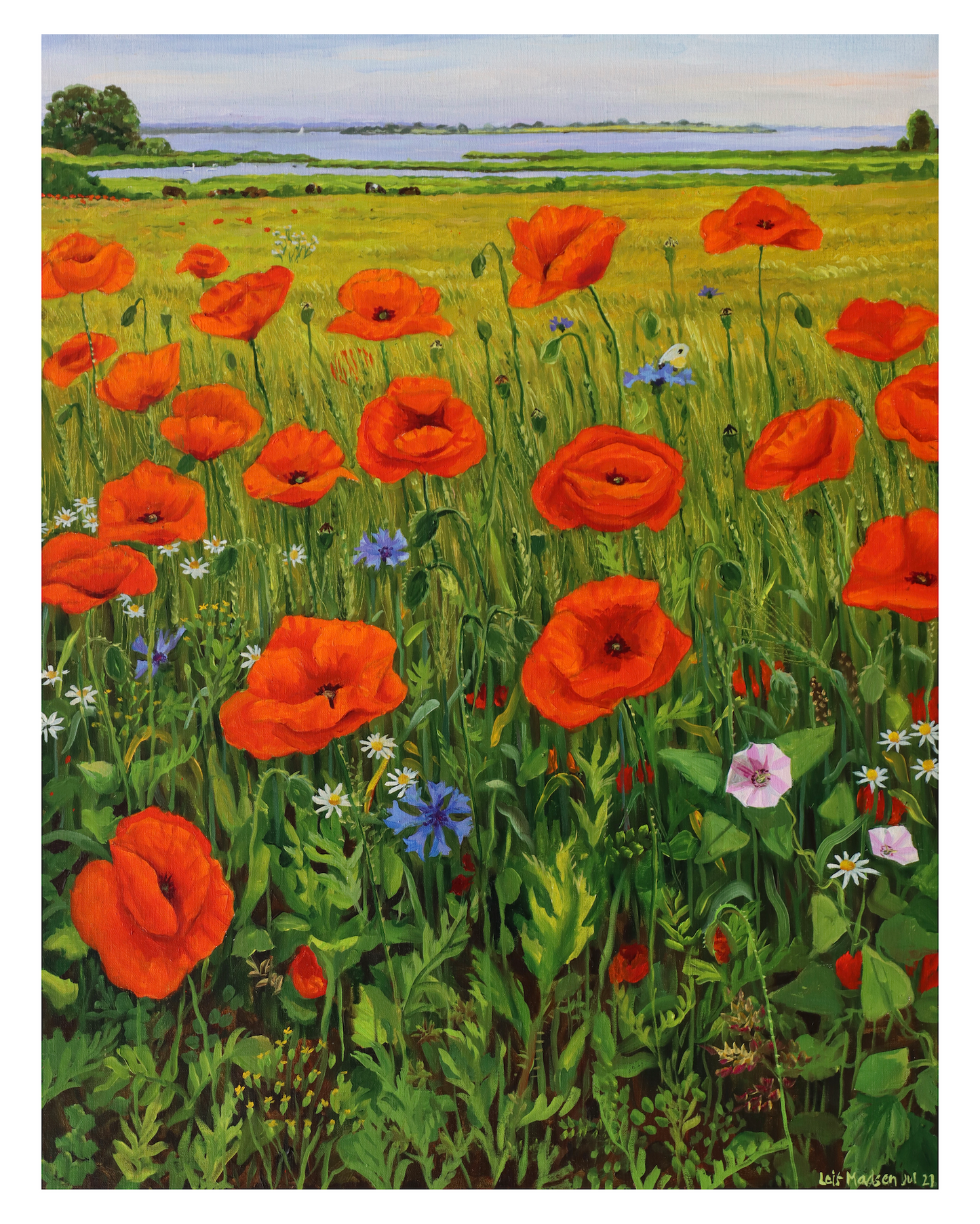 Summer field