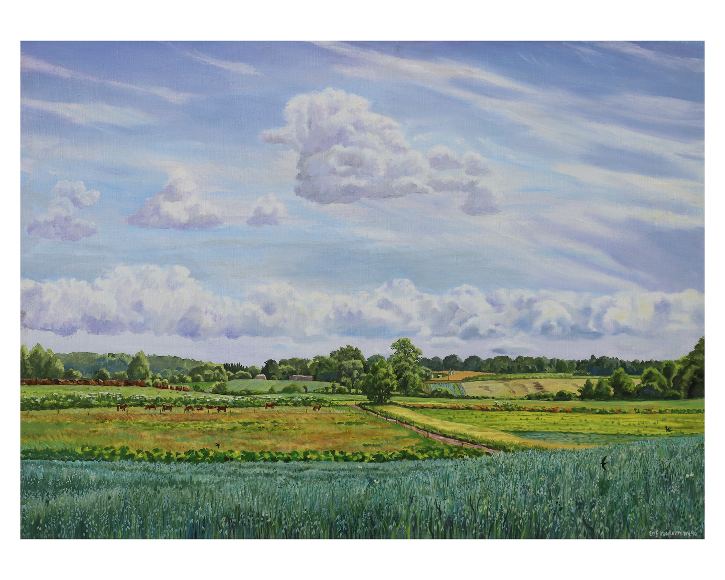 View from Gammelgaard