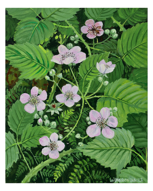 Brombærblomster