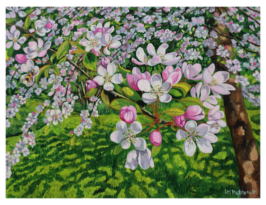 Paradisæbletræ i blomst