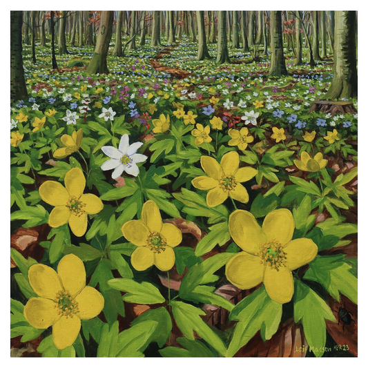 Forest floor with yellow anemones