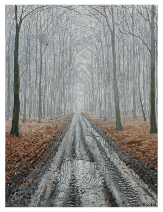 Skovvej vinter