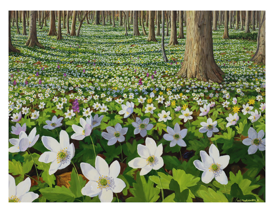 Anemoneskov part two