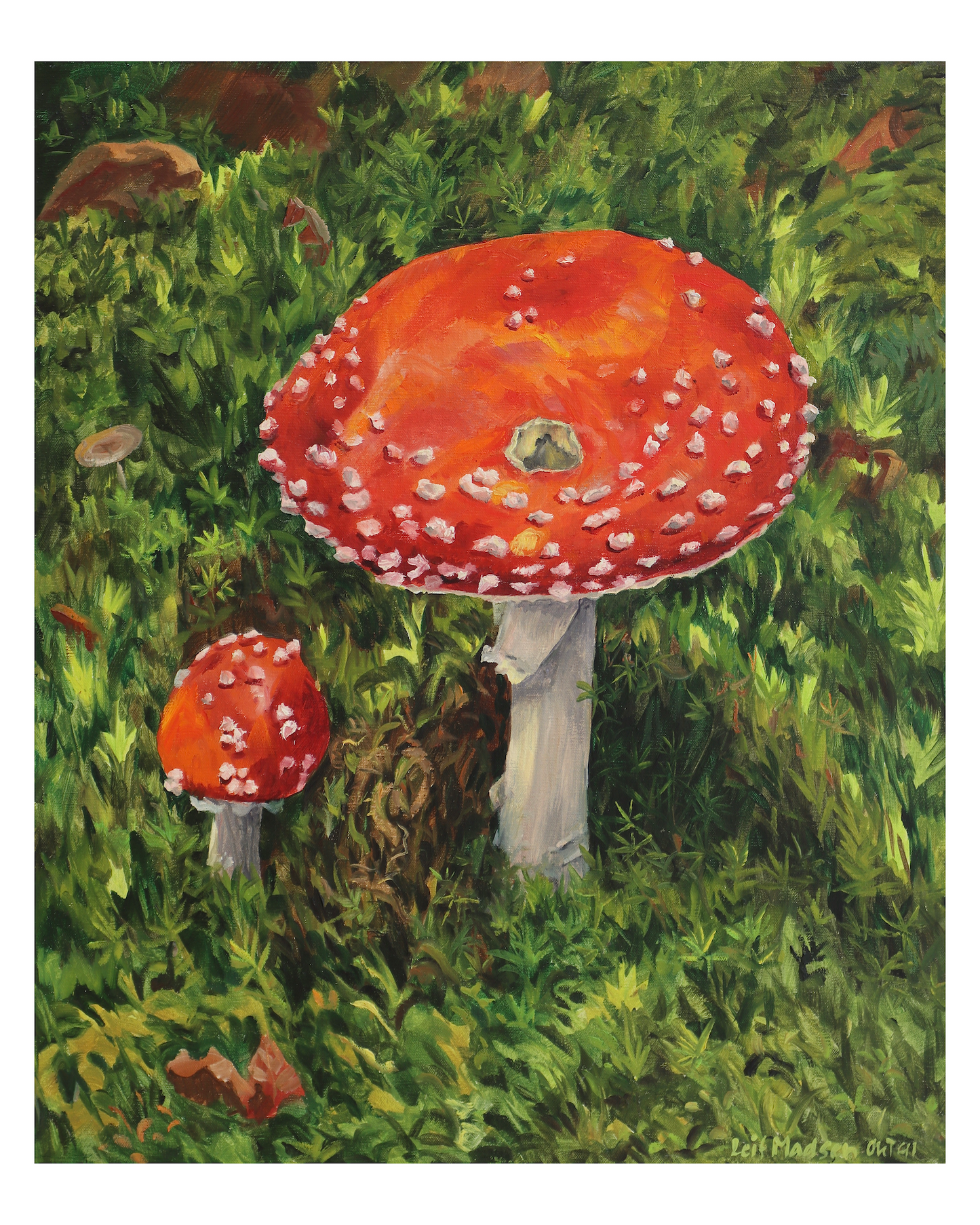 Red fly agaric